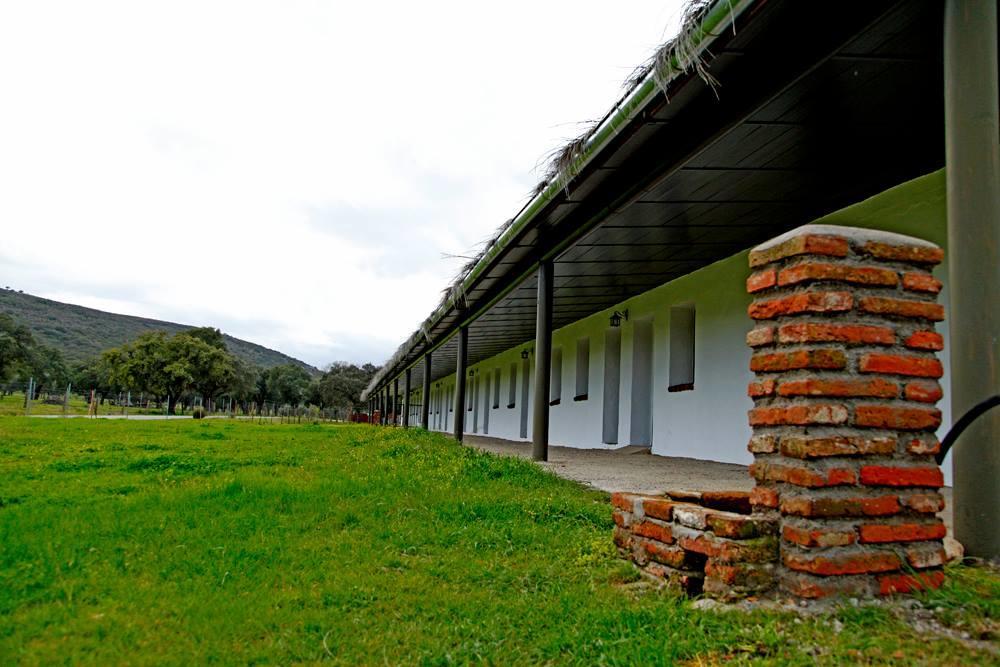 Hotel Rural Puerta De Monfrague Villarreal de San Carlos Kültér fotó